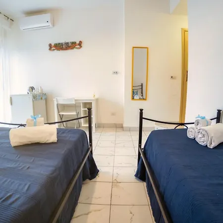 Hippocampus B&B-3